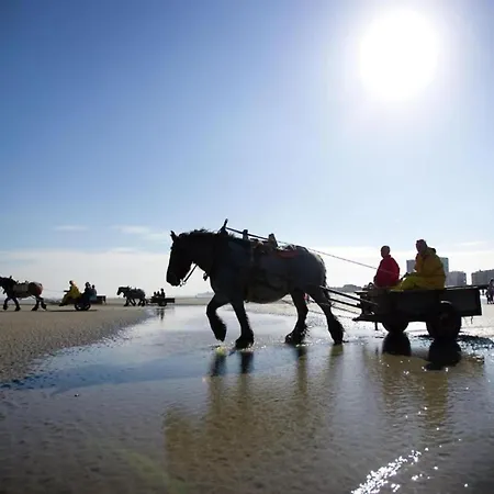 In By The Beach, Cleaning Included *